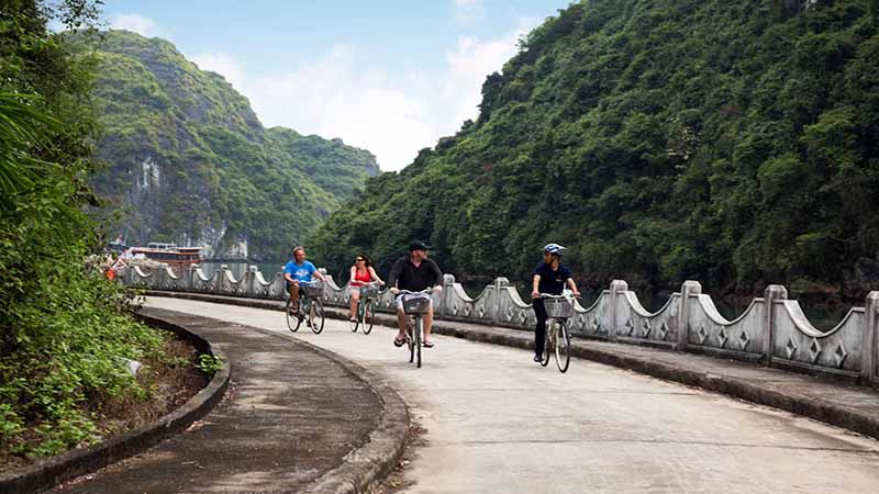 Halong - Orchid Classic_6