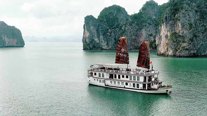 Halong - Violet_14