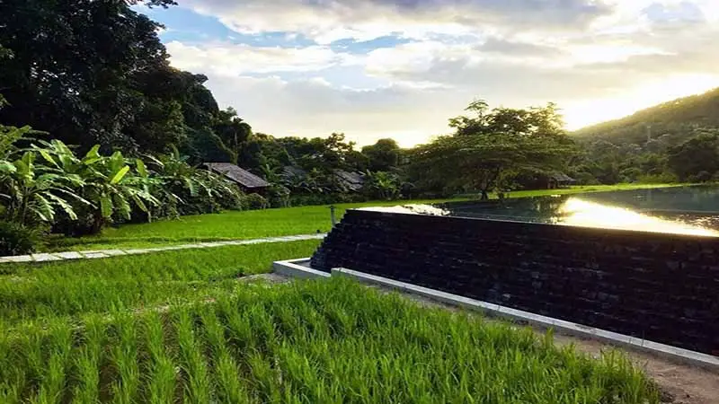 Mae Hong Son - Fern Resort_7