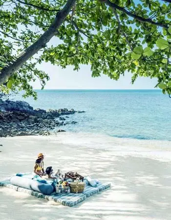 Private beachfront picnic on a secluded Thai beach, featuring cushioned seating, ocean views, and dappled shade beneath tropical trees.