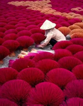 Worker crafting vibrant pink incense bundles in a traditional incense village near Hanoi, Vietnam, highlighting centuries-old artisan practices and cultural heritage.