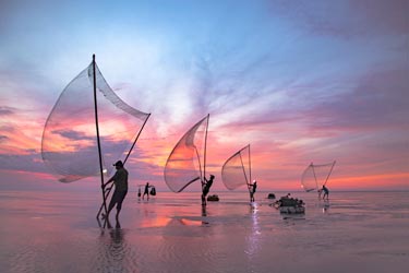 Traditional fishermen using square dip nets at sunset on a shallow Vietnam shoreline, with pink sky reflections over calm water.