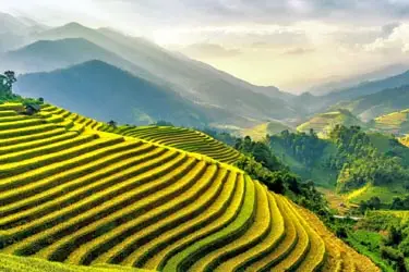 Terraced rice fields cascading across the hills of Mai Chau, Vietnam, showcasing the region’s breathtaking mountain scenery and enduring agricultural heritage.