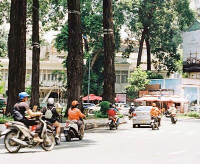 Motorbikes navigating a tree-lined boulevard in Saigon (Ho Chi Minh City), Vietnam, capturing the city’s vibrant street life and everyday urban rhythm.
