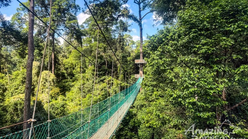 Borneo_Rainforest_Lodge1