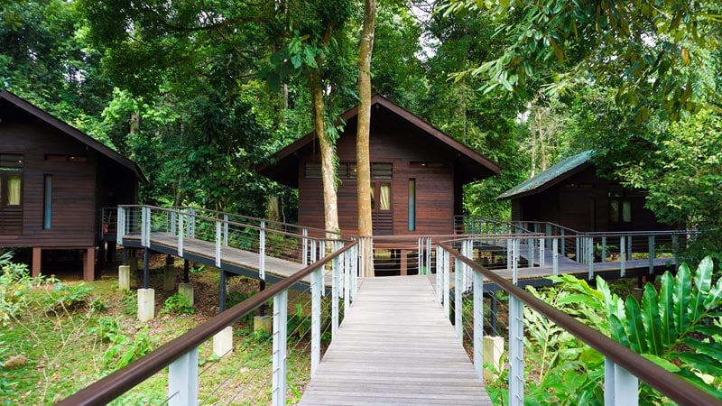 Borneo_Rainforest_Lodge13