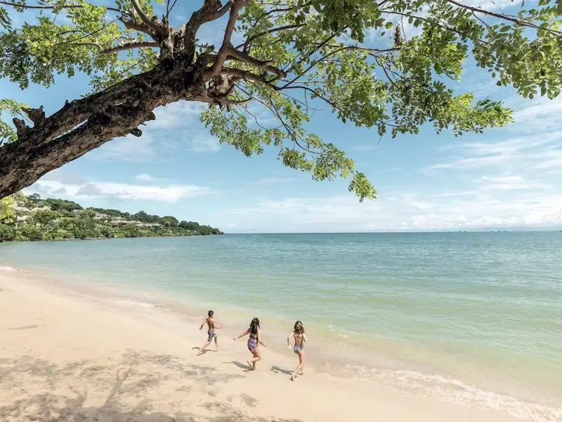 Beachfront view from Four Seasons Jimbaran Bay showing calm swimming shoreline beneath tropical tree canopy and open Indian Ocean horizon