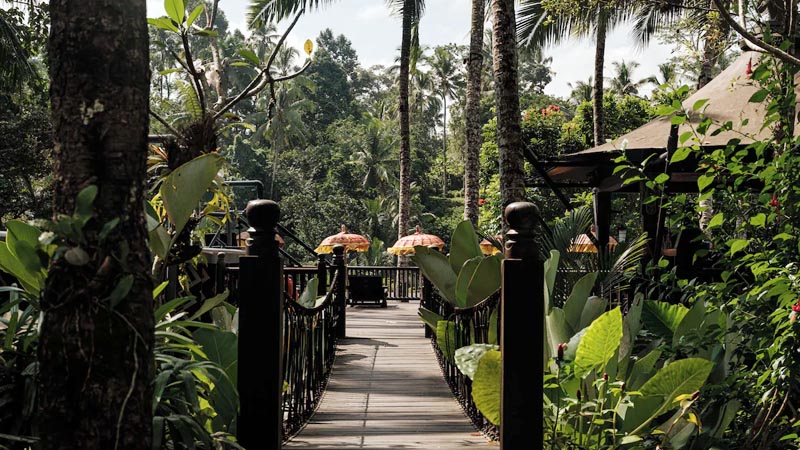 Bali - Capella Ubud image