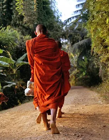 Buddhist monks in saffron robes walking barefoot along a rural path, surrounded by tropical greenery in Luang Prabang