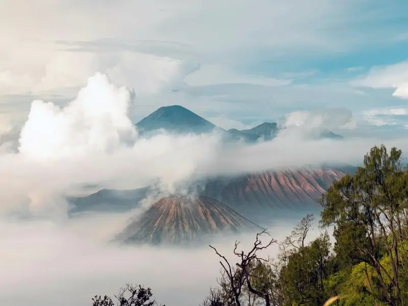 Early morning Mount Bromo and neighboring volcanic cones framed by cloud inversion, illustrating the atmospheric terrain central to curated East Java nature journeys
