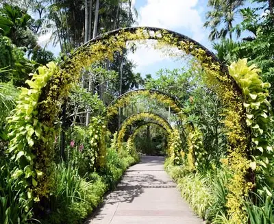 Singapore Highlights image