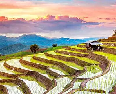 Rice Terraces, Sapa and Pu Luong in Northern Vietnam