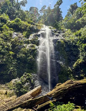Waterfall in Danum Valley Conservation Area, Sabah, Malaysia, cascading through dense Borneo rainforest surrounded by lush tropical vegetation