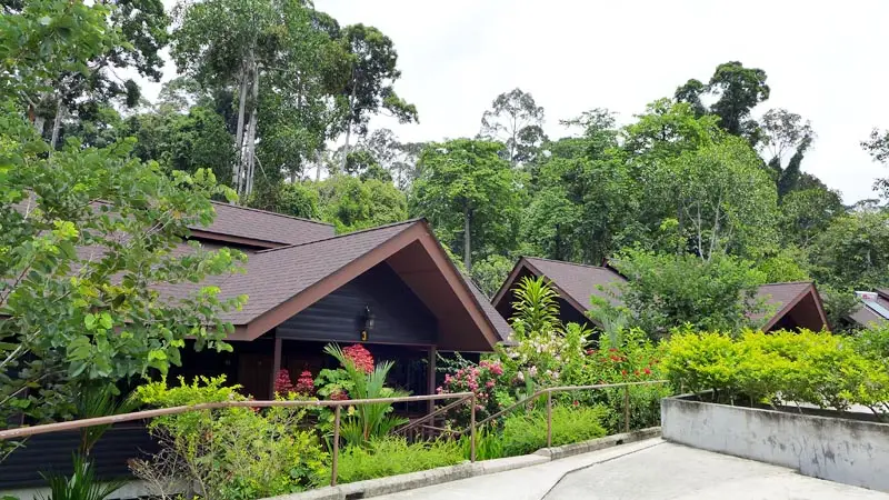 Borneo_Nature_Lodge12
