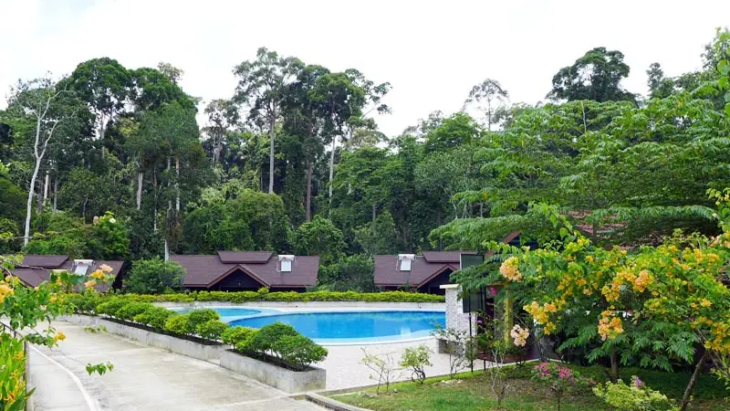 Borneo_Nature_Lodge13