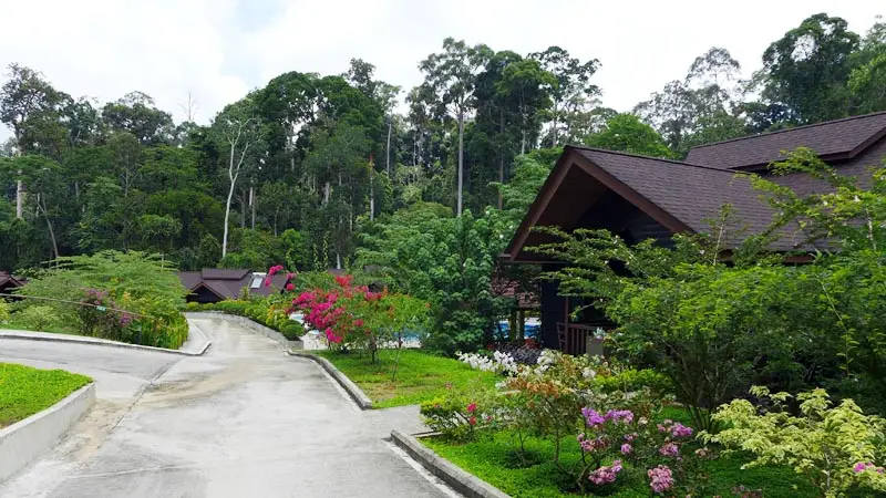 Sandakan – My Nature Lodge image