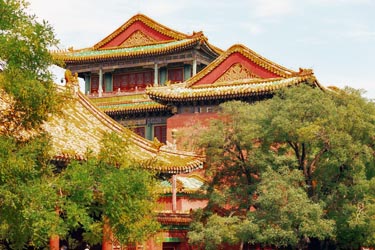 Imperial buildings of the Forbidden City in Beijing surrounded by lush trees, highlighting classic Ming and Qing dynasty architecture.