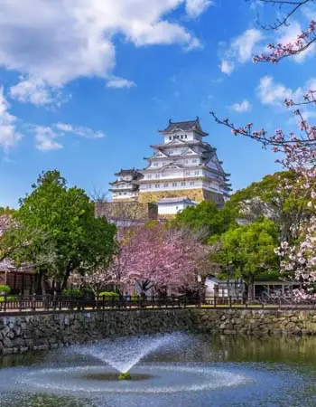 Himeji Castle rising above spring cherry blossoms and a reflective moat in Japan