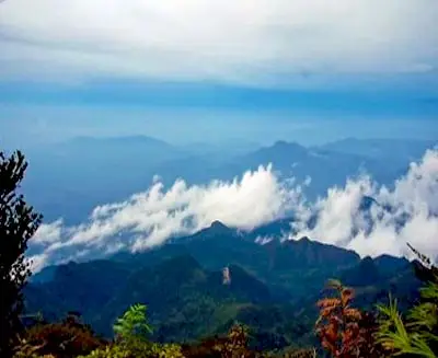 Mist-covered rainforest mountains in Taman Negara National Park, showcasing ancient jungle landscapes on a Malaysia cultural and wildlife journey