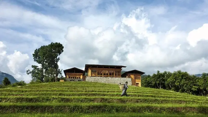 Punakha_Como_Uma16
