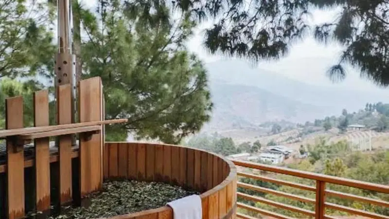 Punakha_Dhensa2