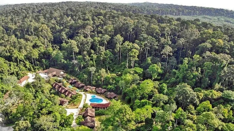 Sandakan_My_Nature_Lodge4