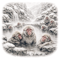Snow Monkey Encounters