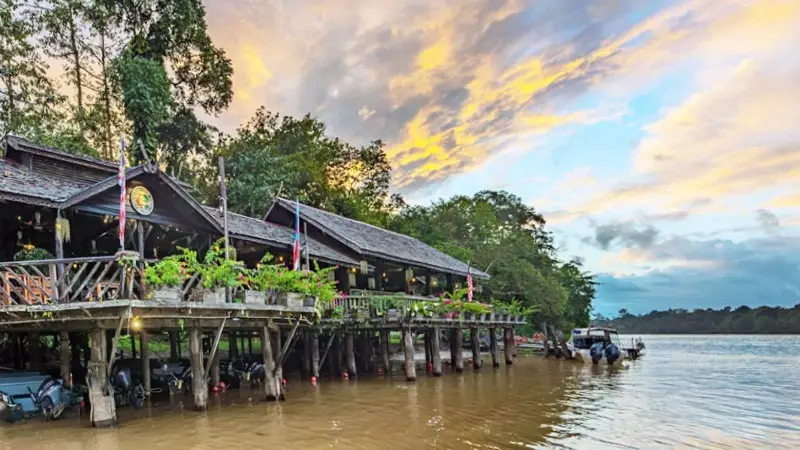 Sukau_Rain_Forest_Lodge1