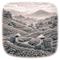 Tea Plantation Cameron Higlands