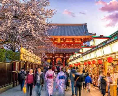 Visitors strolling through Nakamise Street toward Senso-ji Temple in Tokyo, Japan, lined with traditional market stalls and cherry blossoms.