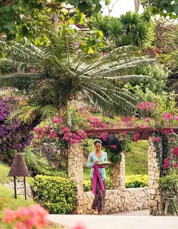 Bali Romance image
