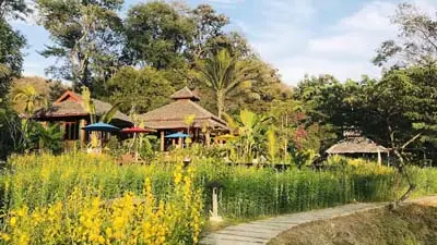 Fern Resort Mae Hong Son in northern Thailand, featuring traditional wooden cottages, lush gardens, and a peaceful countryside setting surrounded by forested hills.