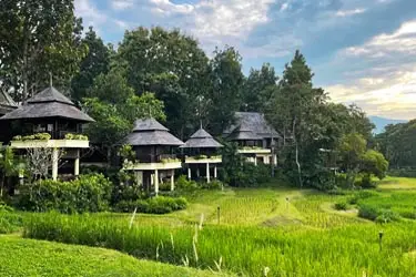 Four Seasons Resort Chiang Mai villas overlooking lush green rice paddies, with traditional Thai architecture and forested mountain scenery in northern Thailand.