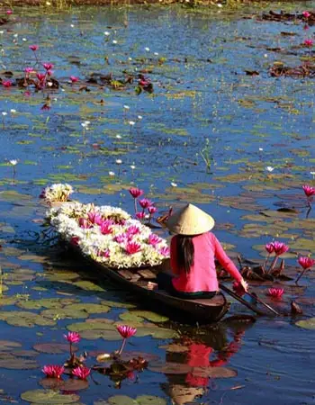 Boat vendor wearing a conical hat paddling along the Thu Bồn River in Hội An, surrounded by blooming lotus flowers and carrying a boat filled with blossoms.