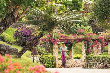 Bali Travel Guide image