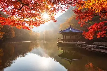 Traditional Korean pavilion beside a tranquil mountain pond framed by vibrant autumn foliage in South Korea’s scenic countryside.