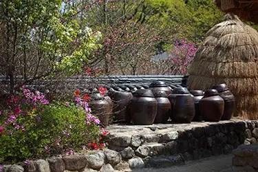 Traditional Korean earthenware jars (onggi) used for fermenting kimchi and sauces displayed in a garden courtyard at a historic Korean village.