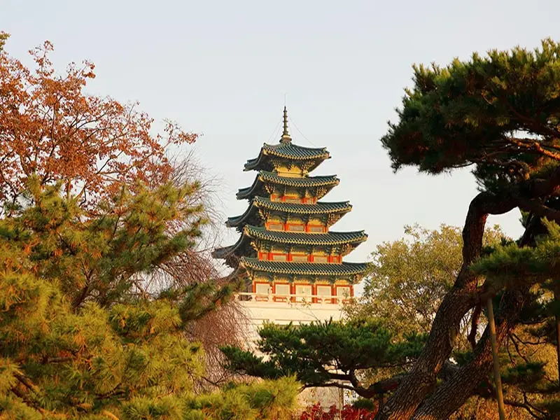 Five-story pagoda at Gyeongbokgung Palace in Seoul, South Korea, framed by autumn foliage and traditional Korean palace gardens.