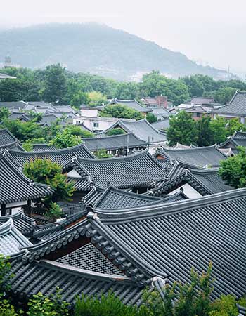Traditional hanok rooftops in Andong, South Korea, nestled among lush greenery and rolling hills, showcasing the city's preserved Korean heritage and timeless architectural beauty.