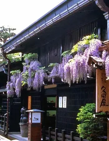 Japan_350-450_Takayama_town4 Traditional wooden house in Takayama decorated with cascading wisteria flowers